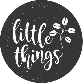 Every Little Thing- A Recap